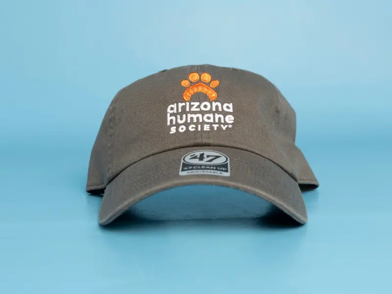 Ahs Unstructured Cotton Cap – Charcoal Grey 1