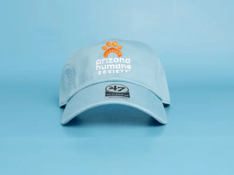 Ahs Unstructured Cotton Cap – Light Blue 1