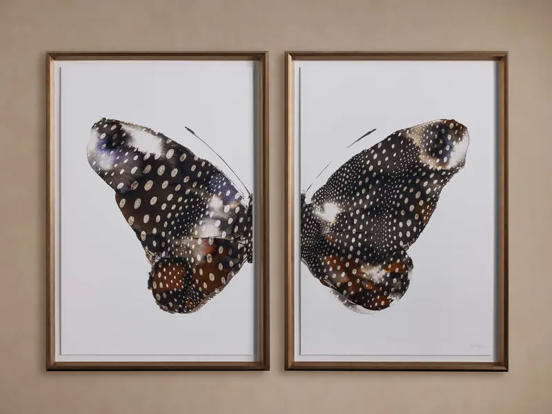 Aile Framed Art Print – Two-Piece Set 1