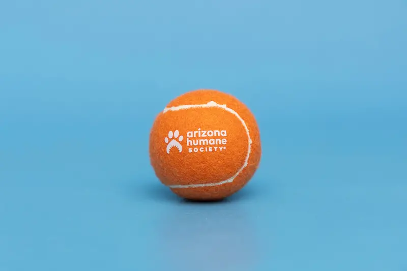 Arizona Humane Society Custom Tennis Ball – High-Visibility Pet Toy 1