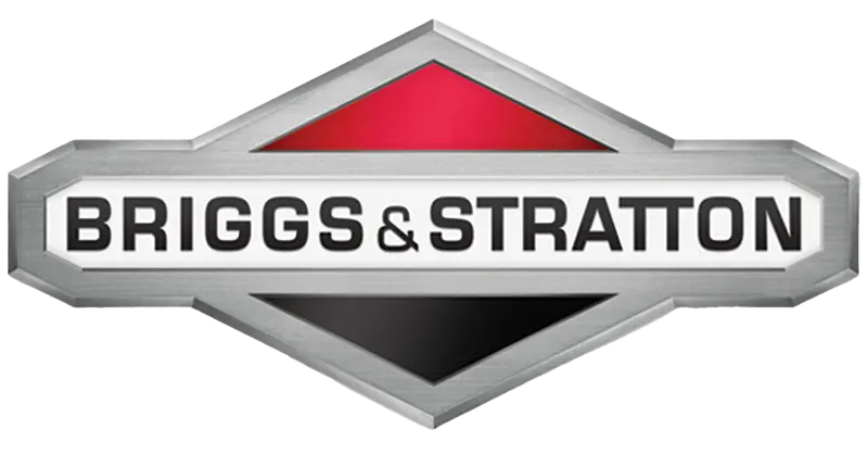 Briggs & Stratton 797386 Oem Flywheel Assembly 1