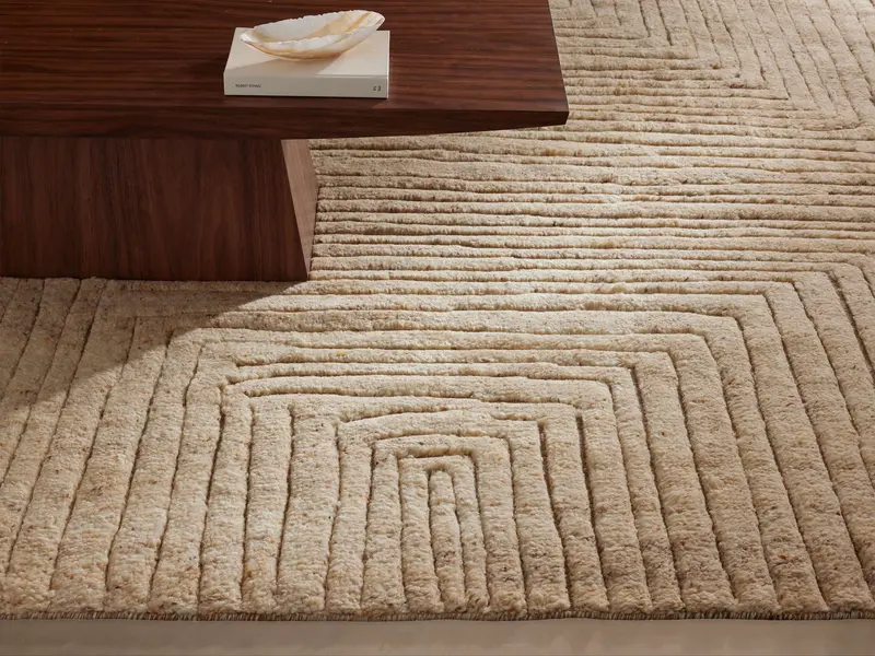 Cosmo Textured Hand-Knotted Area Rug 1