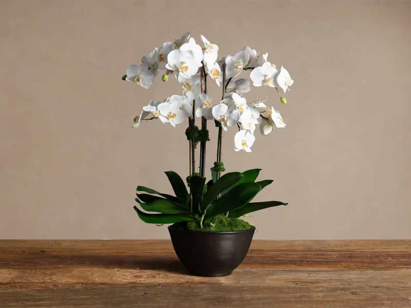 Faux White Orchid Arrangement In Bronze-Terracotta Bowl 1