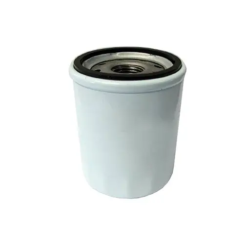 Ferris Oil Filter With Protective Cap – 1719168X1 1