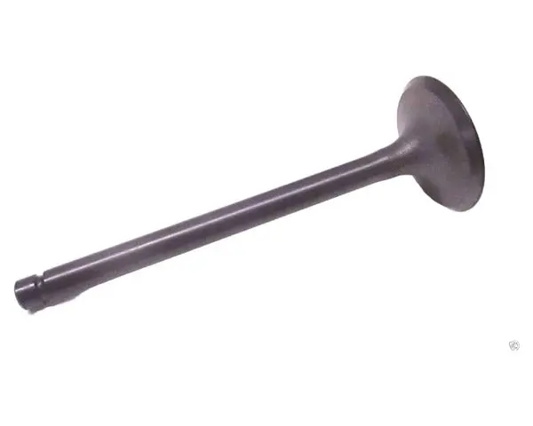 Kawasaki 12004-0746 Intake Valve – Oem Replacement 1