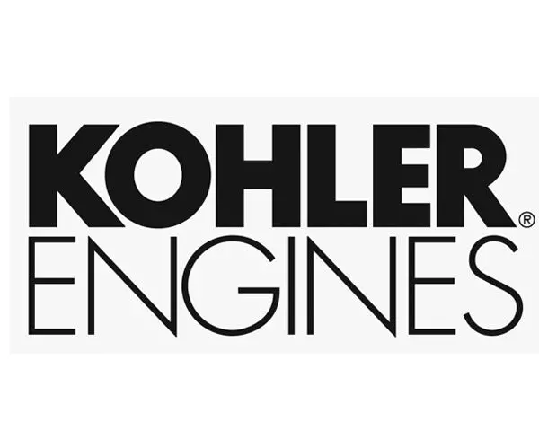 Kohler 25-393-19-S Fuel Delivery Pump Module Kit 1
