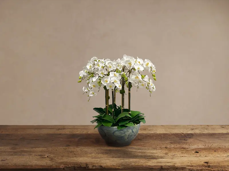 Painted Ceramic Bowl With Silk White Orchids 1