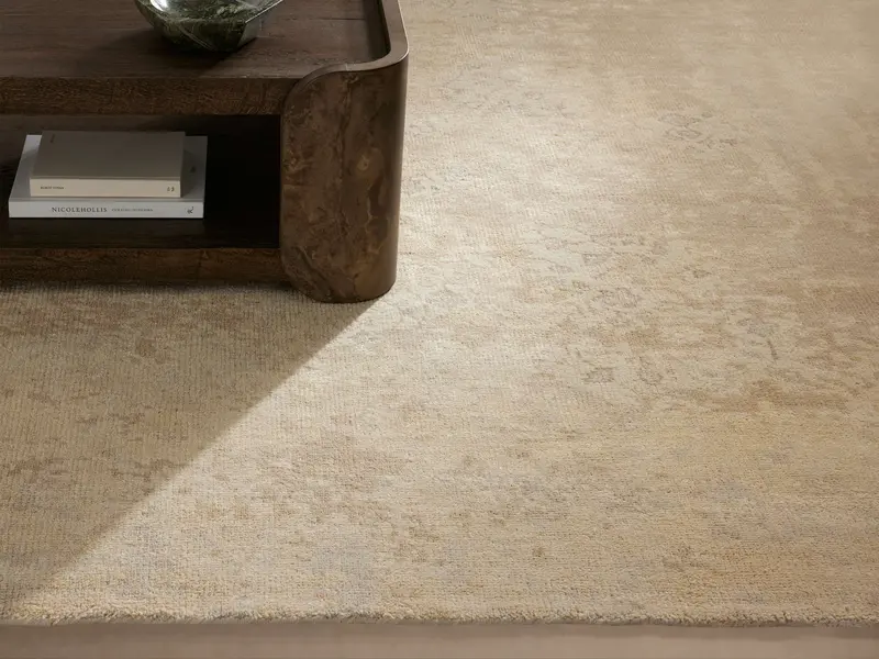 Tansey Hand-Knotted Wool Area Rug – Abstract Pattern 1