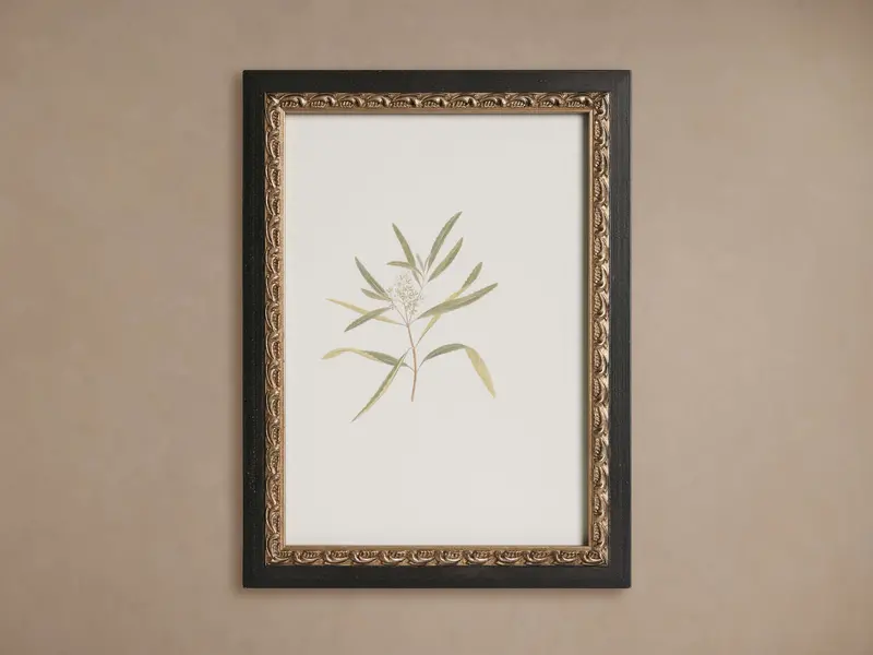Thistle Botanical Art Print In Contemporary Frame 1
