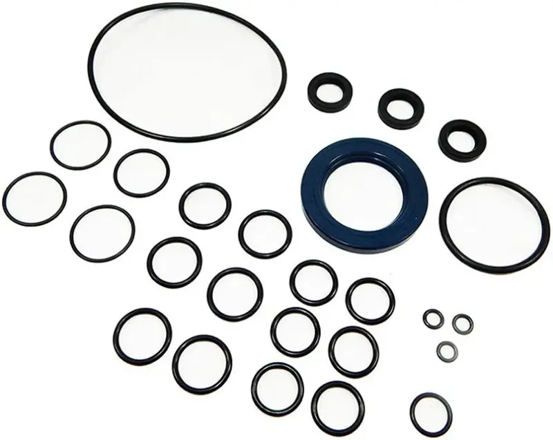 Vortexx Zwd Series Oil Seal Kit – 5019.0065.00 1