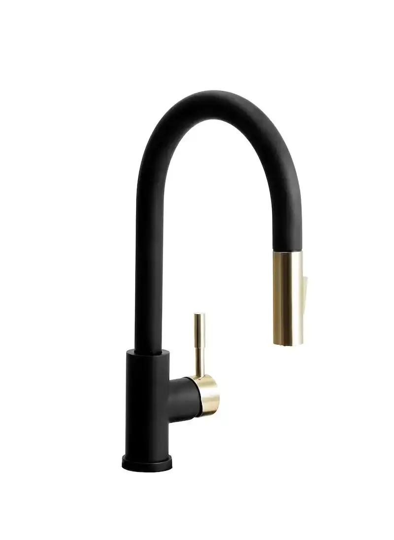 Streamline Rv Pull-Down Kitchen Faucet With Integrated Sink Mount 1